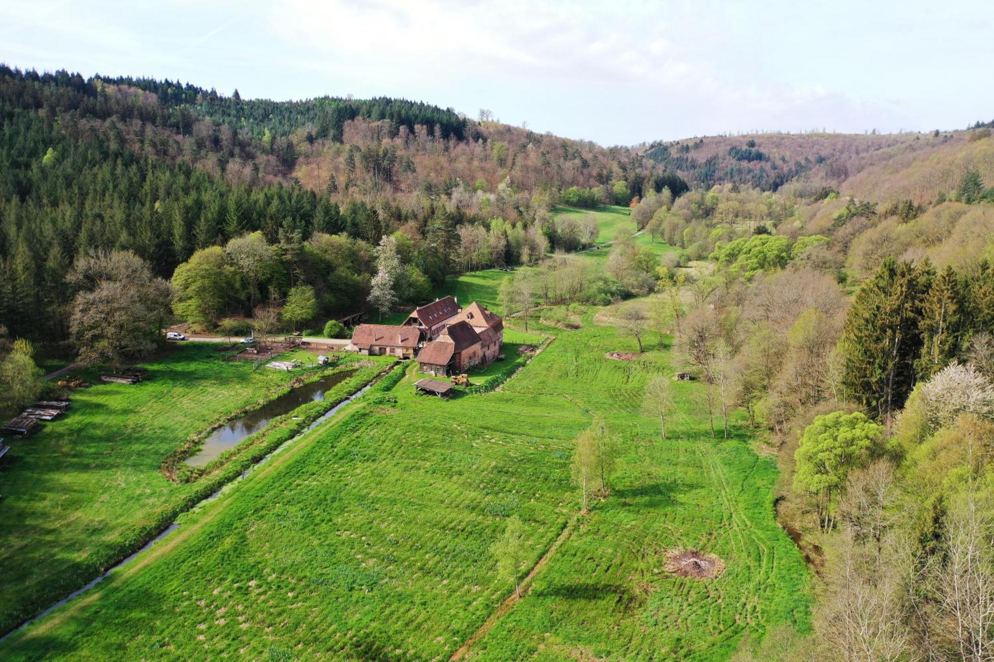 Maison D'Hotes De Charme - Ancien Moulin En Pleine Nature - La Paulusmuehle Soucht Bagian luar foto