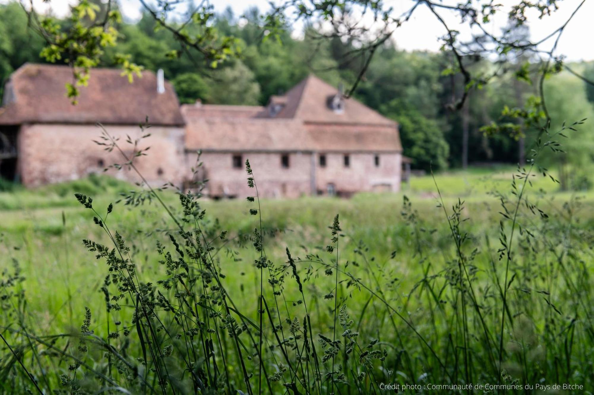 Maison D'Hotes De Charme - Ancien Moulin En Pleine Nature - La Paulusmuehle Soucht Bagian luar foto